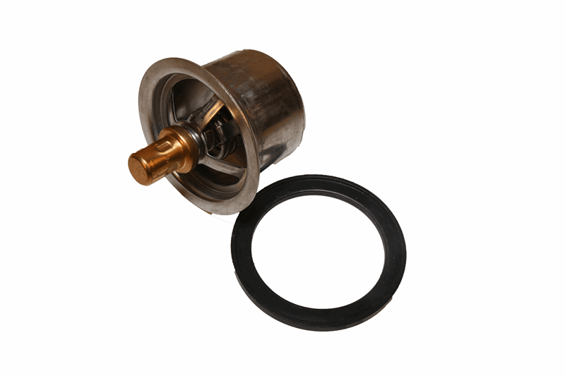 4318947 | Thermostat | Fleetsworld