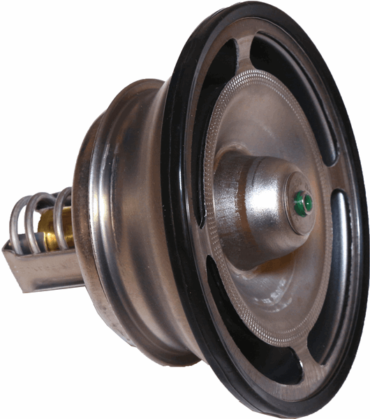 21412639 | Thermostat | Fleetsworld