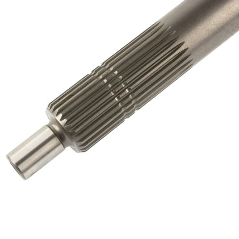 360807-wa