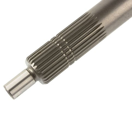 360807-wa