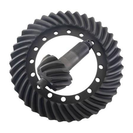 ear-217981-wa