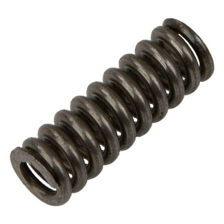 44-72-2 Manual Transmission Detent Spring