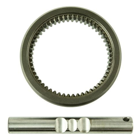 fulk-3389-wa