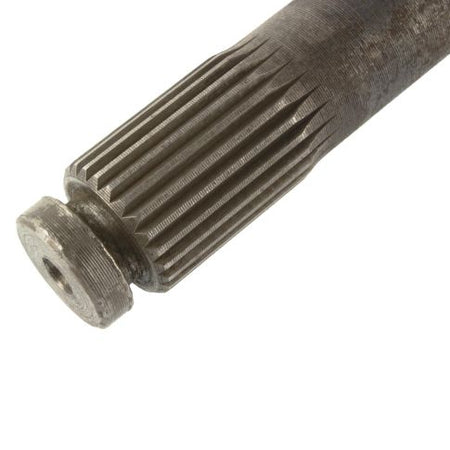 447-1901-wa