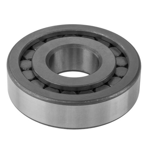 MUS1307UM Bearings