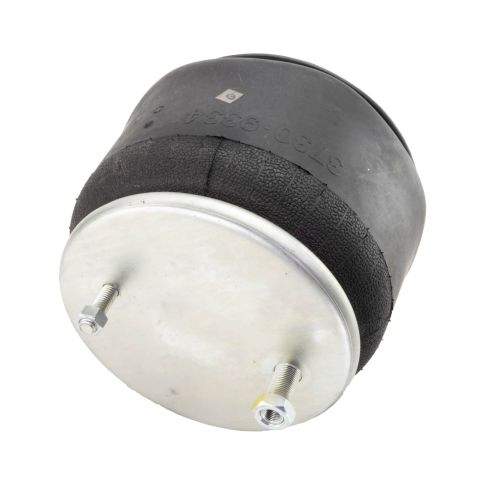 TDAFS9334 Air Suspension Spring