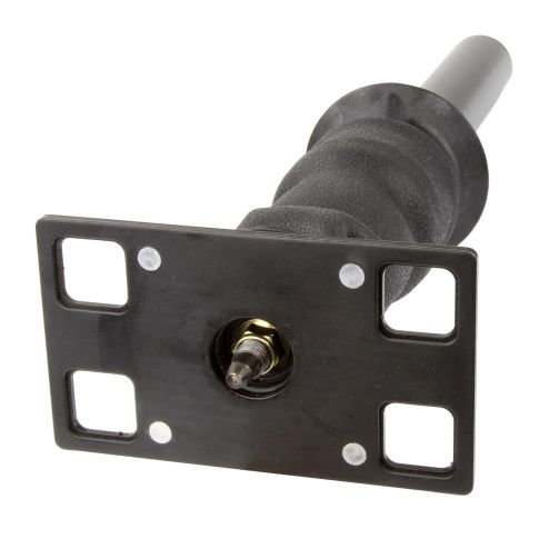 3806428C91 Air Suspension Strut