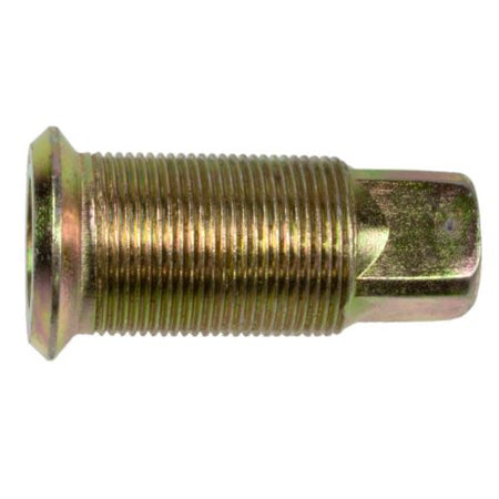 r007896r-wa