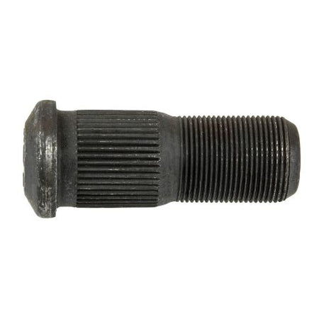 447556r1-wa
