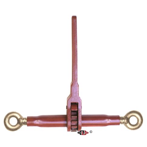 s38883-wa