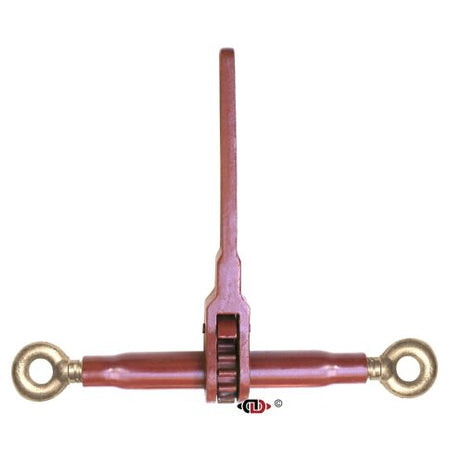 s38883-wa