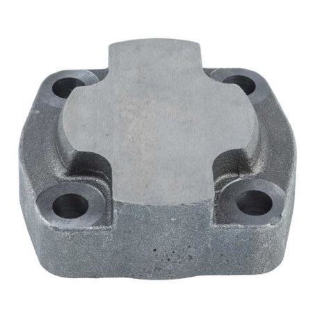 308-3100-100 PUMP AND MOTOR PORT END COVER