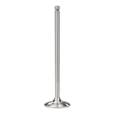 211-4193 Engine Intake Valve