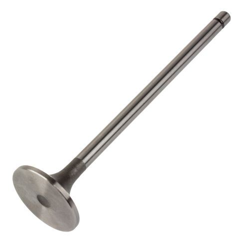 3068519 Engine Intake Valve