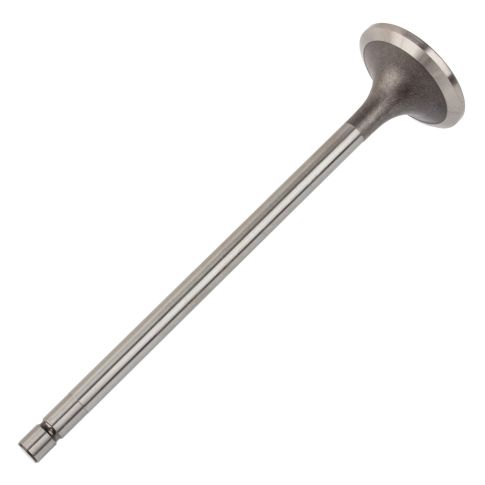 3068519 Engine Intake Valve
