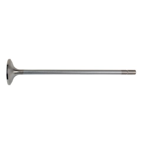 8929589 Engine Intake Valve