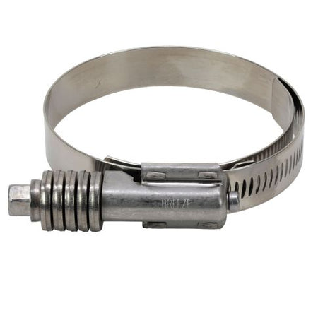 21922388 Hose Clamp