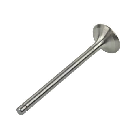 676865C1 Engine Exhaust Valve