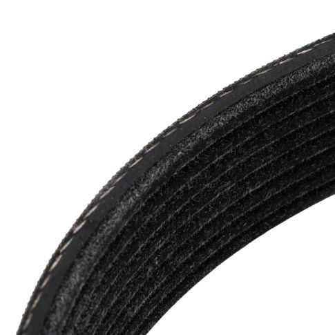 127110014 V-Ribbed Belts