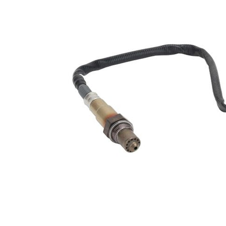 1791013PE Oxygen Sensor