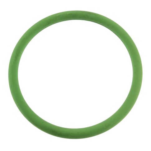 976055 O-RING