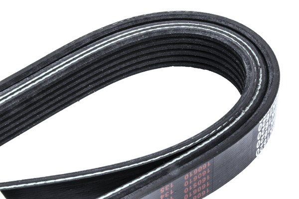 ビタレバン　6本　⑥ s-17505-1_grande.png?v=1644097606