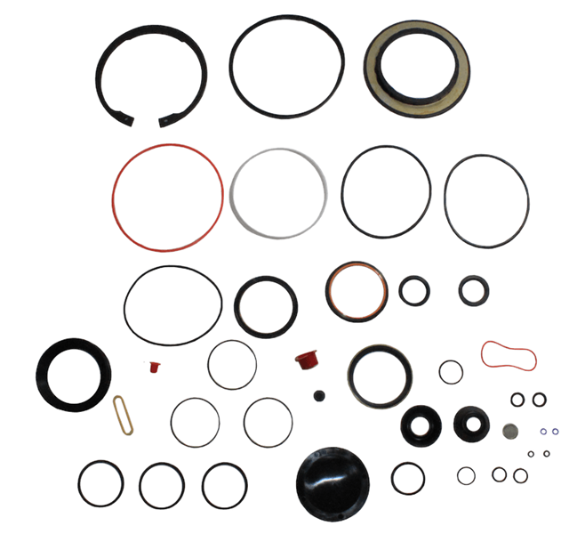 5545491 | MASTER KIT w/SNAP RING & L SEAL | Fleetsworld